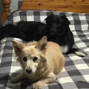 Meet your Posher, Chrissy